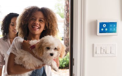 Top 10 Reasons To Purchase A Smart Home Security System